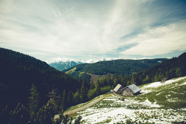 Foto Paisagem árvore natureza ar livre