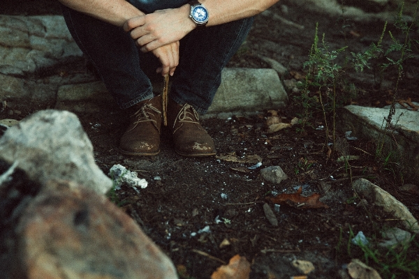 Watch man nature forest Photo