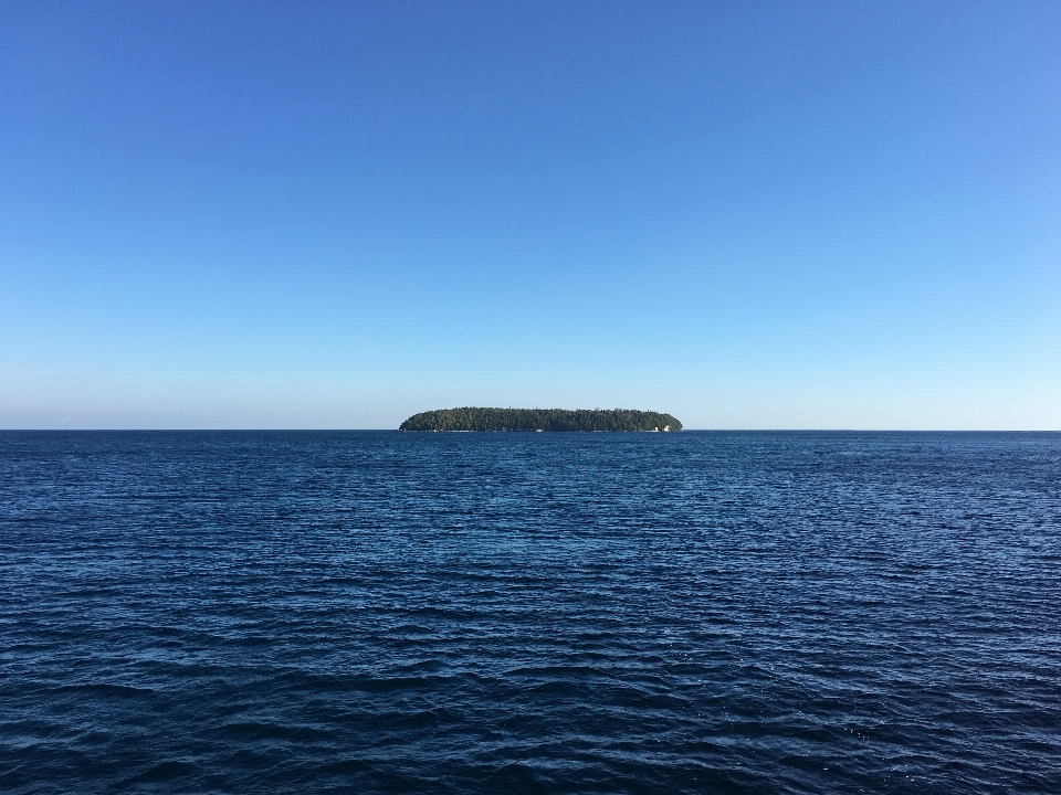 Mare costa albero acqua