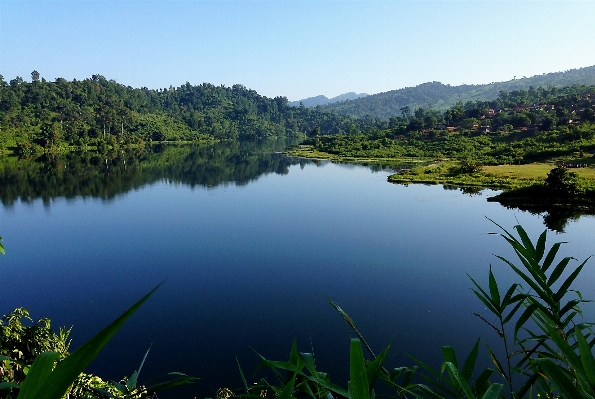 Landscape tree water nature Photo