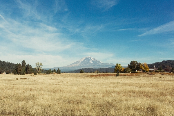 Landscape tree grass horizon Photo