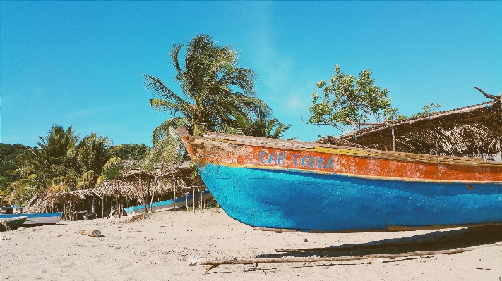 Beach sea boat palm tree Photo