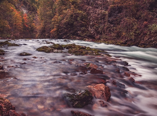 Landscape tree water nature Photo