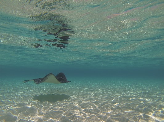 Sea ocean wave underwater Photo