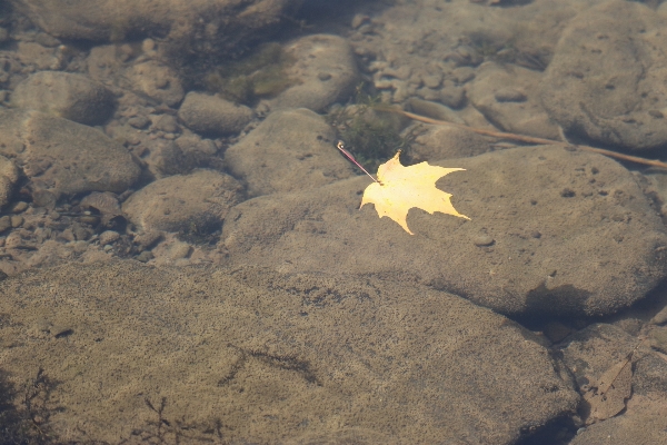 Sea water sand rock Photo