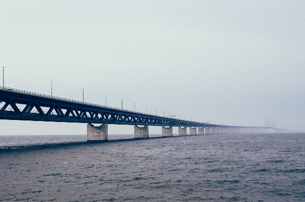 海 水 海洋 地平線 写真