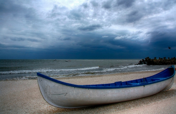 Beach sea coast ocean Photo