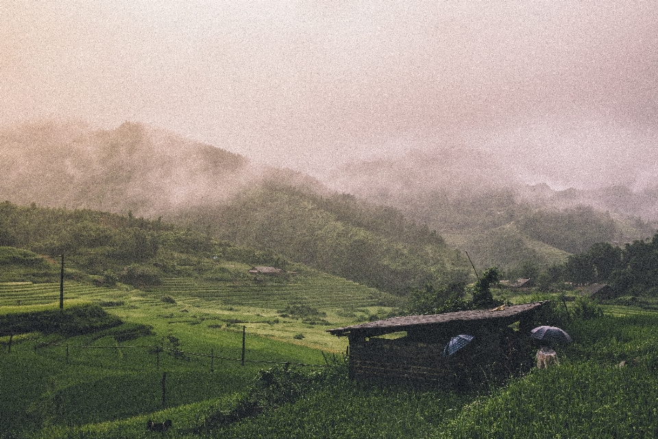 Paesaggio natura erba montagna