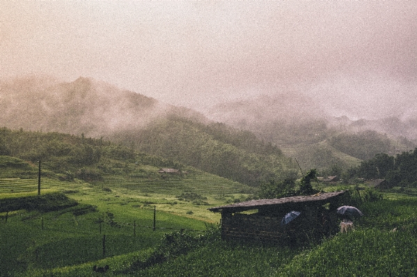 風景 自然 草 山 写真