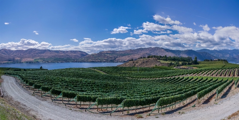 Landscape mountain sky vineyard Photo