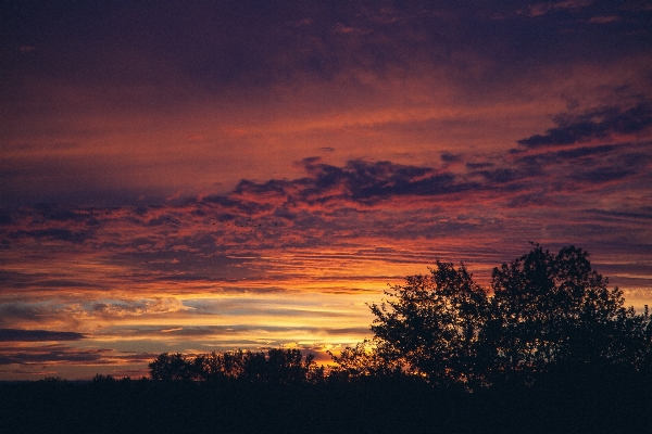 Tree horizon silhouette cloud Photo