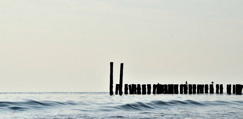 Beach sea coast water Photo