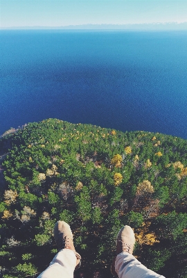 Sea coast tree nature Photo