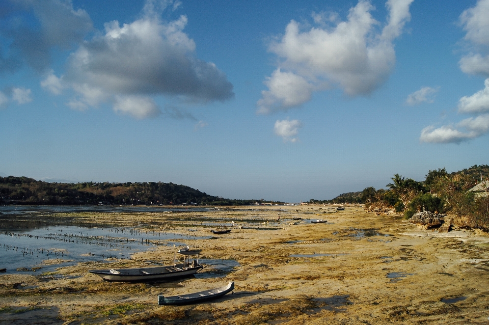 Playa paisaje mar costa