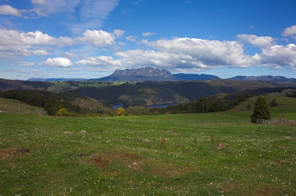 風景 草 荒野
 山