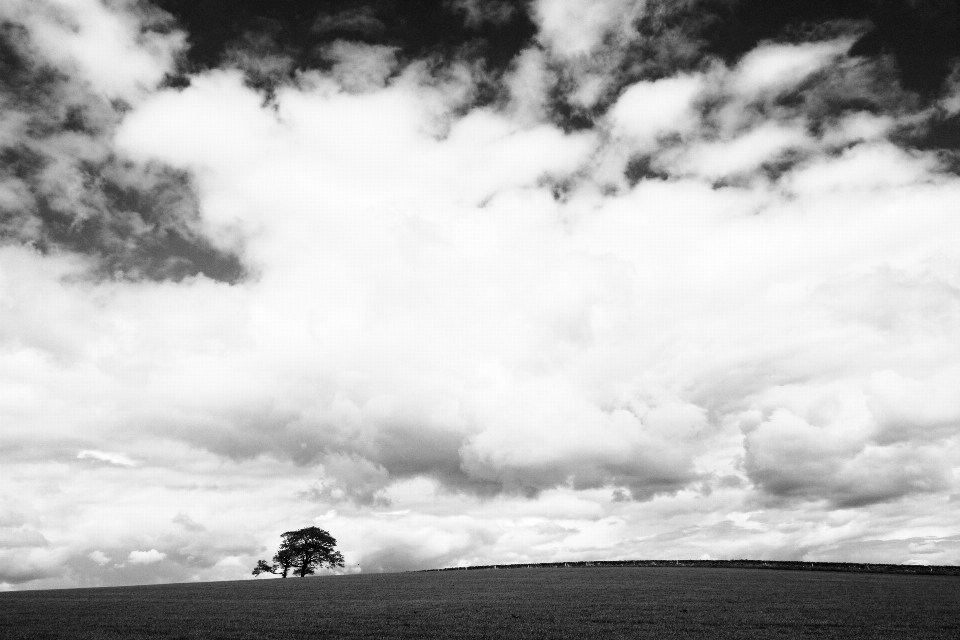 Paisagem árvore montanha nuvem