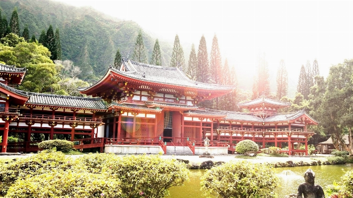 木 建築 建物 城 写真