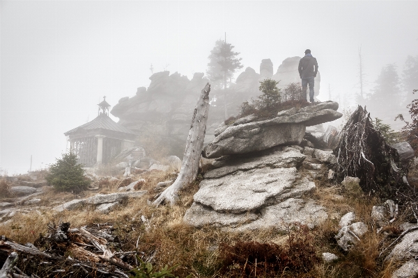 Фото мужчина пейзаж дерево rock