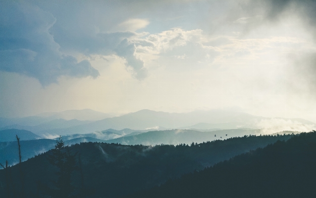 Landscape tree nature horizon Photo