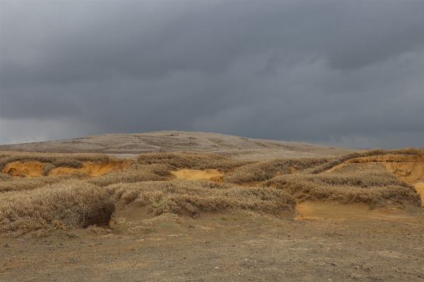 Landscape grass outdoor sand Photo