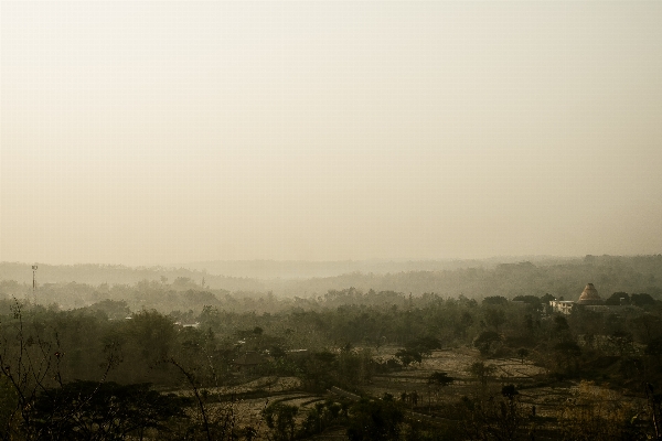 風景 自然 地平線 霧 写真