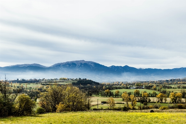 Landscape tree horizon mountain Photo