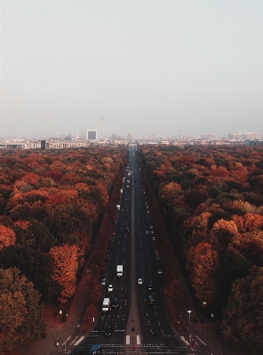 Tree horizon sunset road Photo