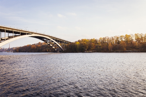 水 橋 秋 湖 写真