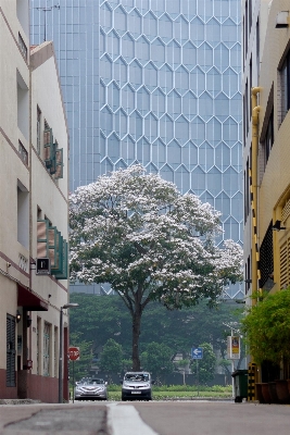 Foto Arquitectura camino calle ciudad