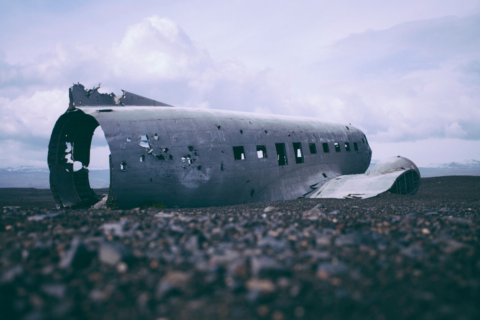 海 羽 飛行機 航空機