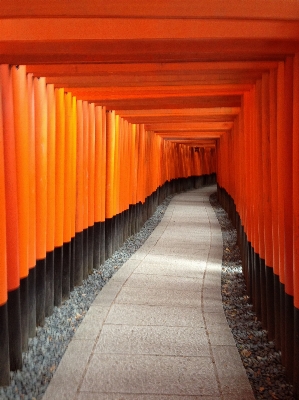 木 壁 ライン ホール 写真