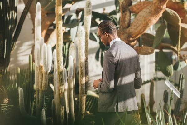 Man flower spring shadow Photo