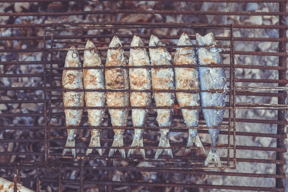 木头 窗户 图案 食物