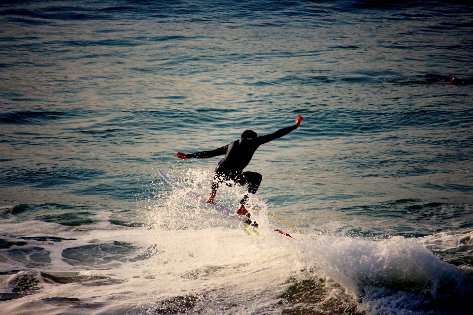 ビーチ 海 海岸 水