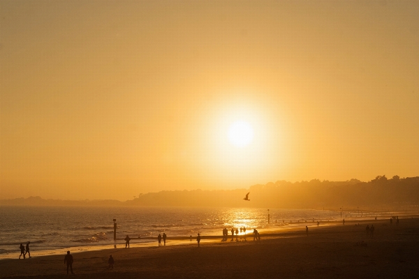 Beach sea coast water Photo