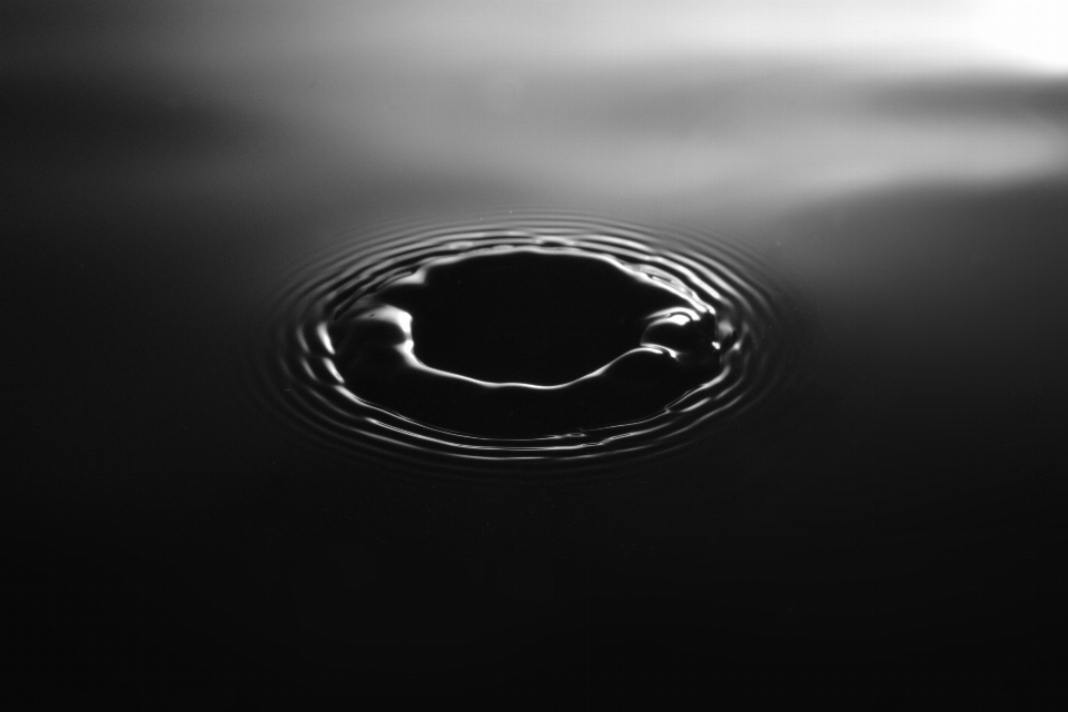 Water drop black and white