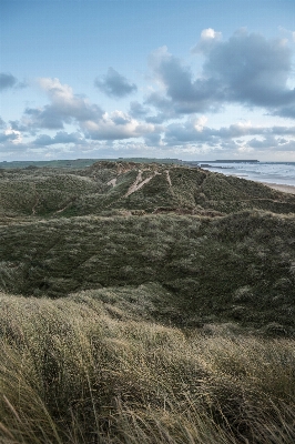 Landscape sea coast grass Photo