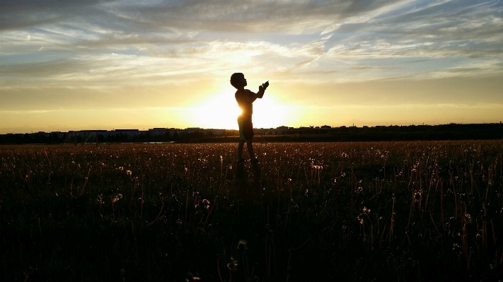 Nature grass horizon silhouette Photo