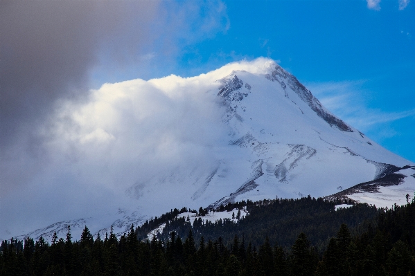 Forest mountain snow winter Photo