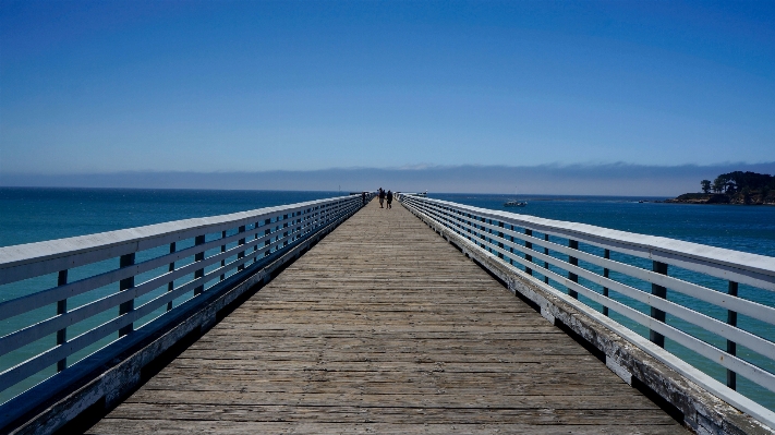 Beach sea coast ocean Photo