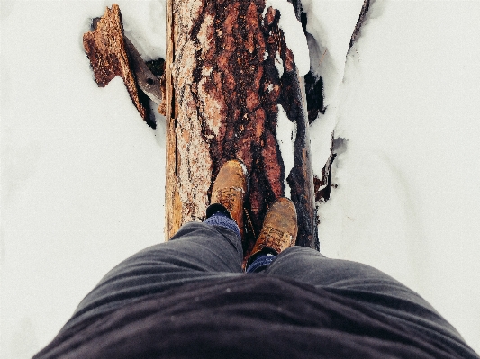 Foto Mano persona scarpa nevicare