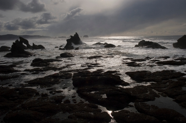 Beach sea coast rock Photo