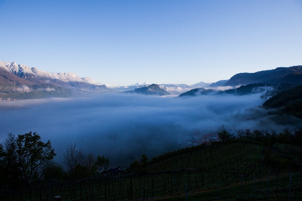 Foto Paesaggio natura selvaggia
 montagna