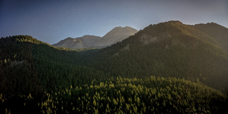 Landschaft baum natur wald Foto