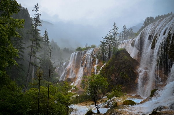 Фото дерево вода лес rock