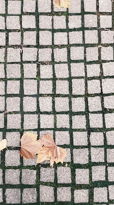 Floor cobblestone wall pattern Photo