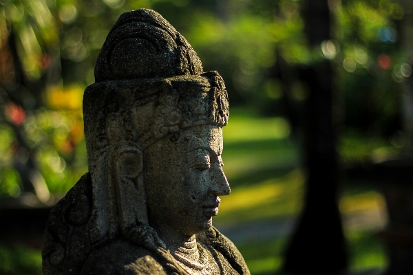 Monument statue green jungle Photo