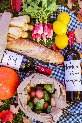 Wine fruit dish meal Photo