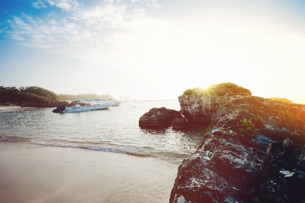 ビーチ 海 海岸 水 写真