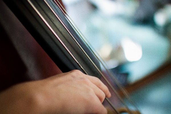 Writing hand person music Photo